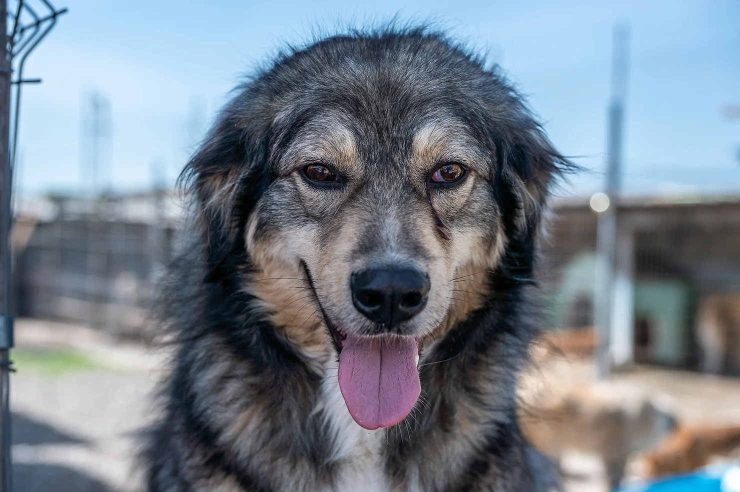 e9cc5f_b28e3bf1ebcc48a193bf44bd3c9398e1~mv2