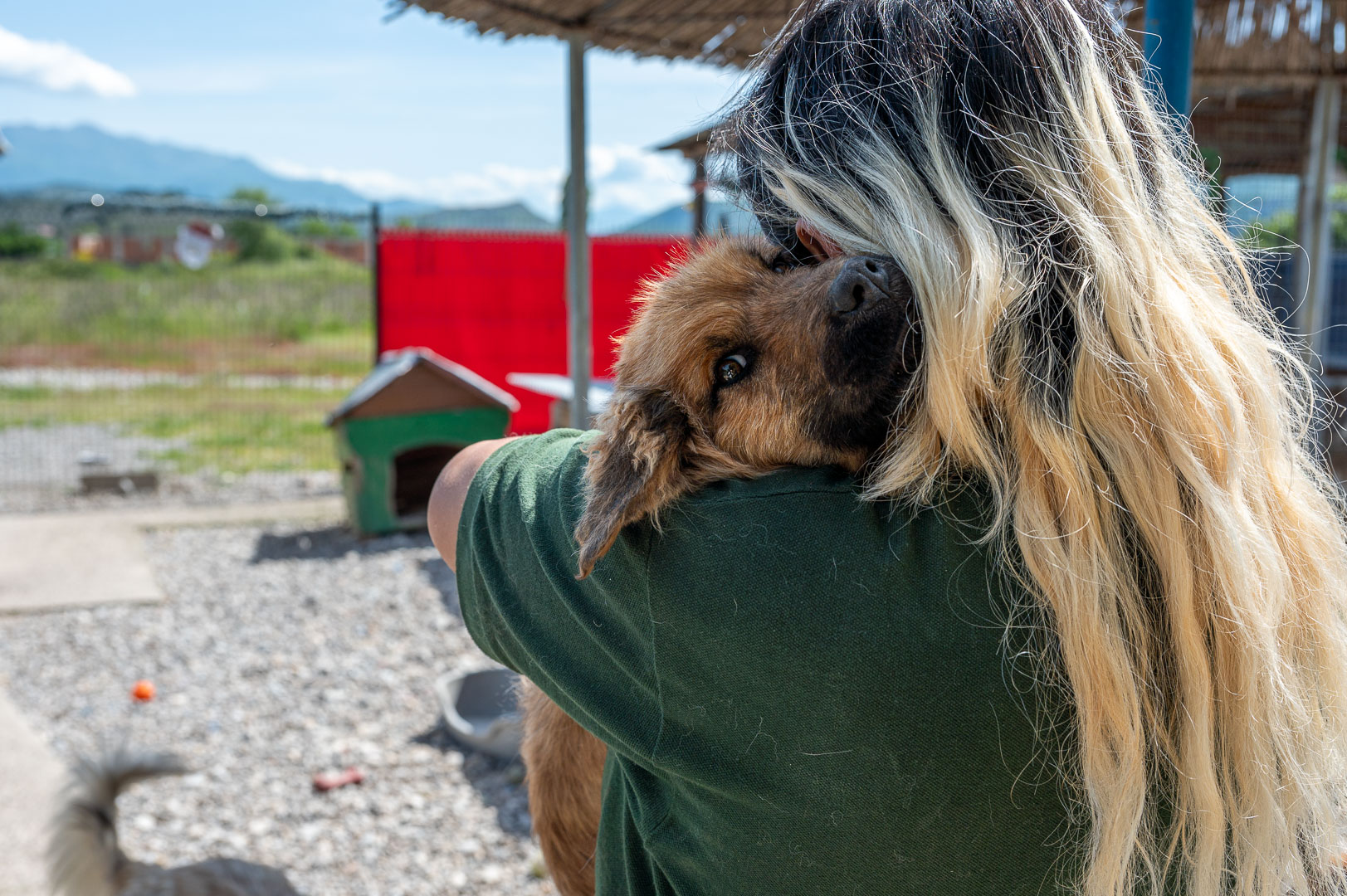 e9cc5f_65d857f6eafd40ab9075aa9f1391ac57~mv2